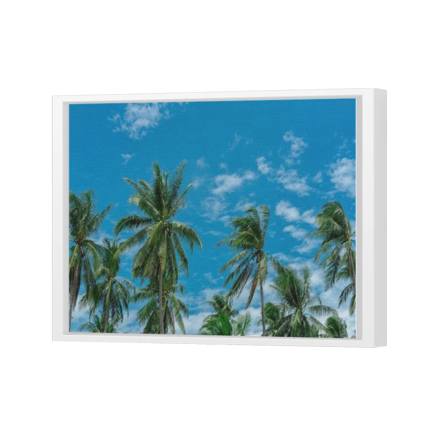 Thumbnail for Canvas - White Floating Frame