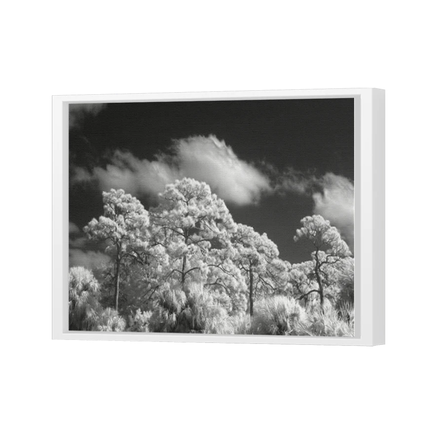Thumbnail for Canvas - White Floating Frame