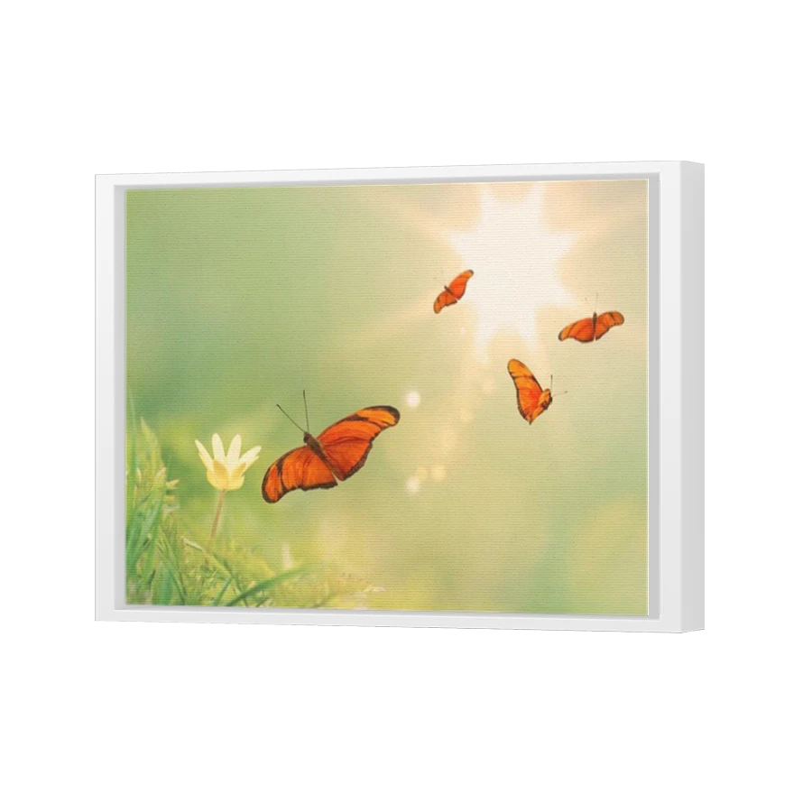 Thumbnail for Canvas - White Floating Frame