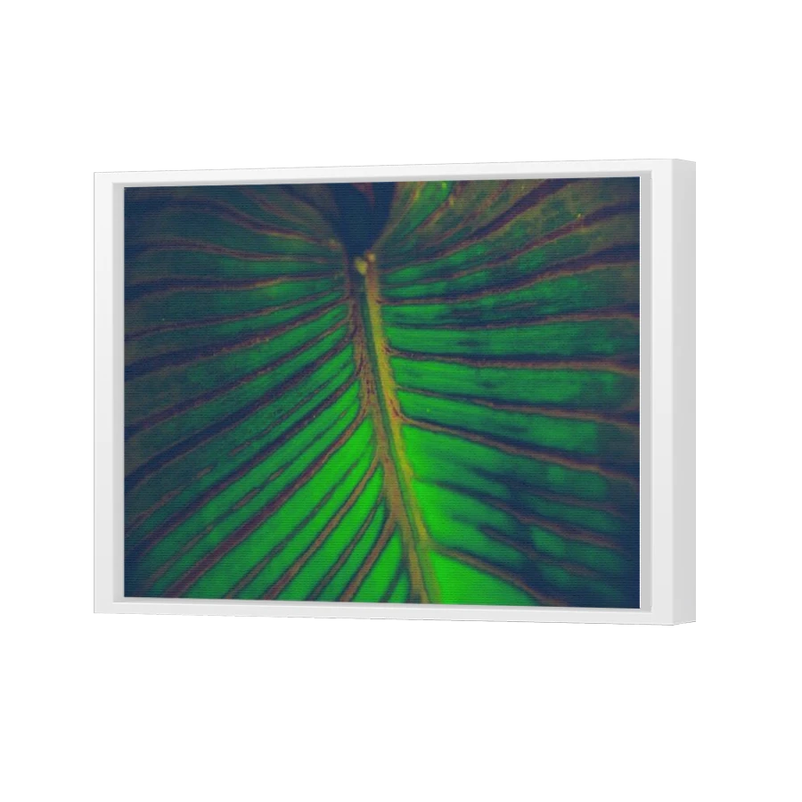 Thumbnail for Canvas - White Floating Frame
