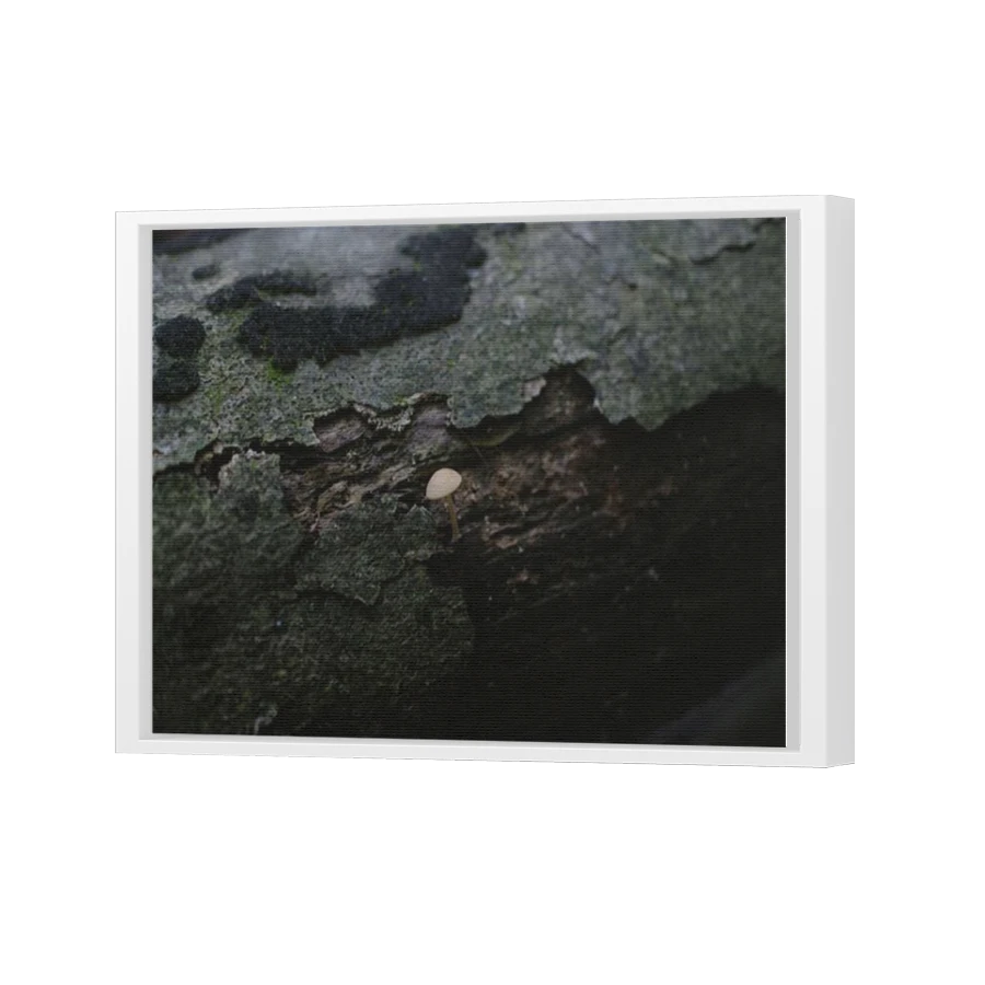 Thumbnail for Canvas - White Floating Frame