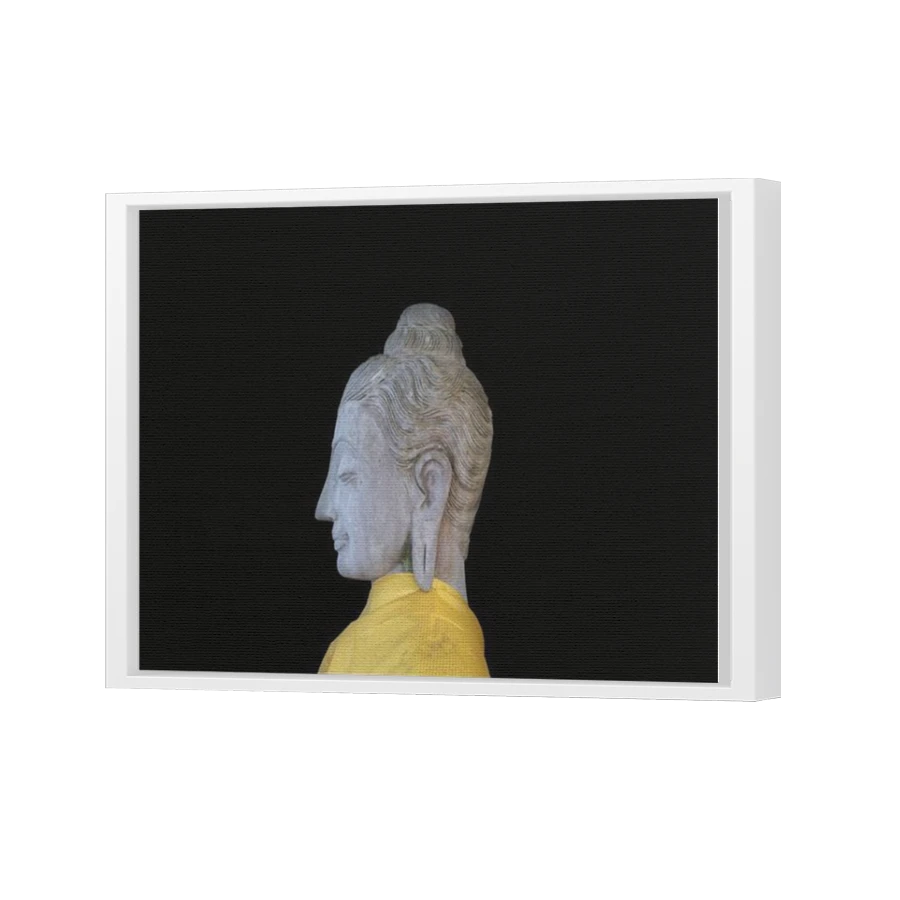 Thumbnail for Canvas - White Floating Frame