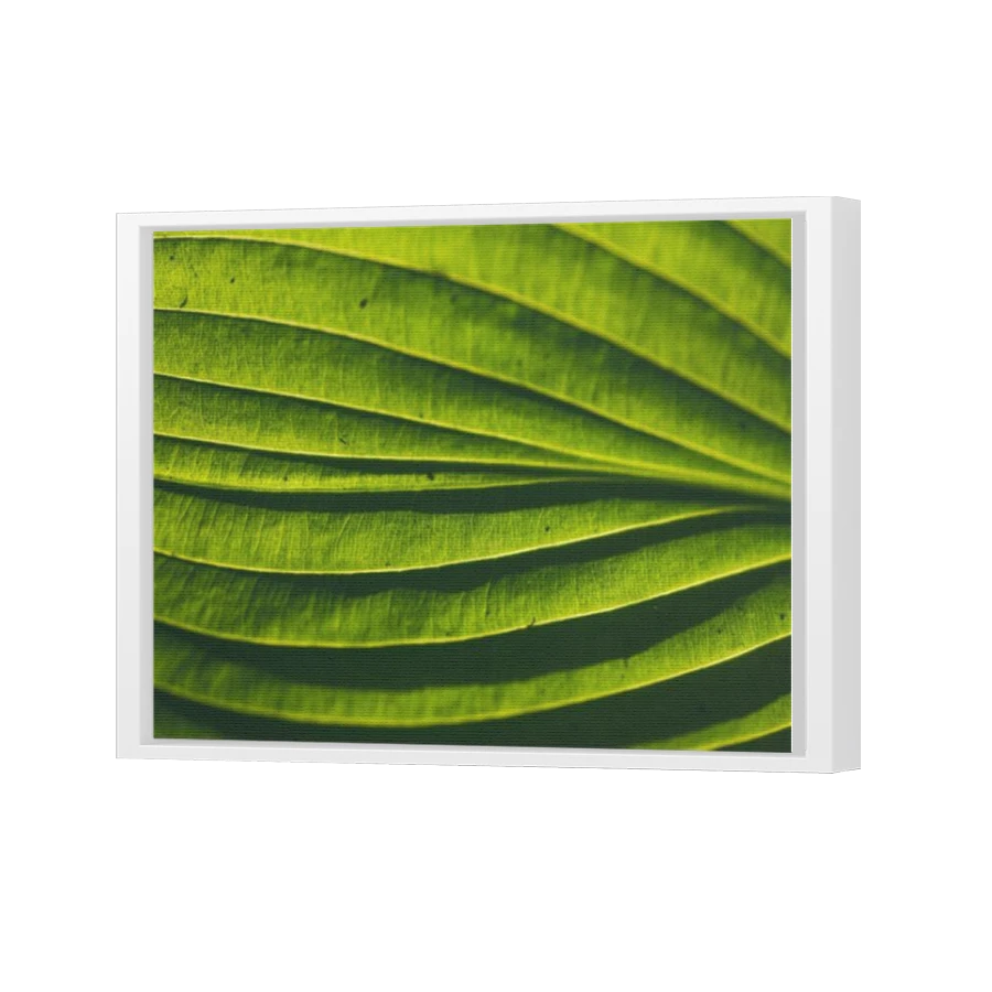 Thumbnail for Canvas - White Floating Frame