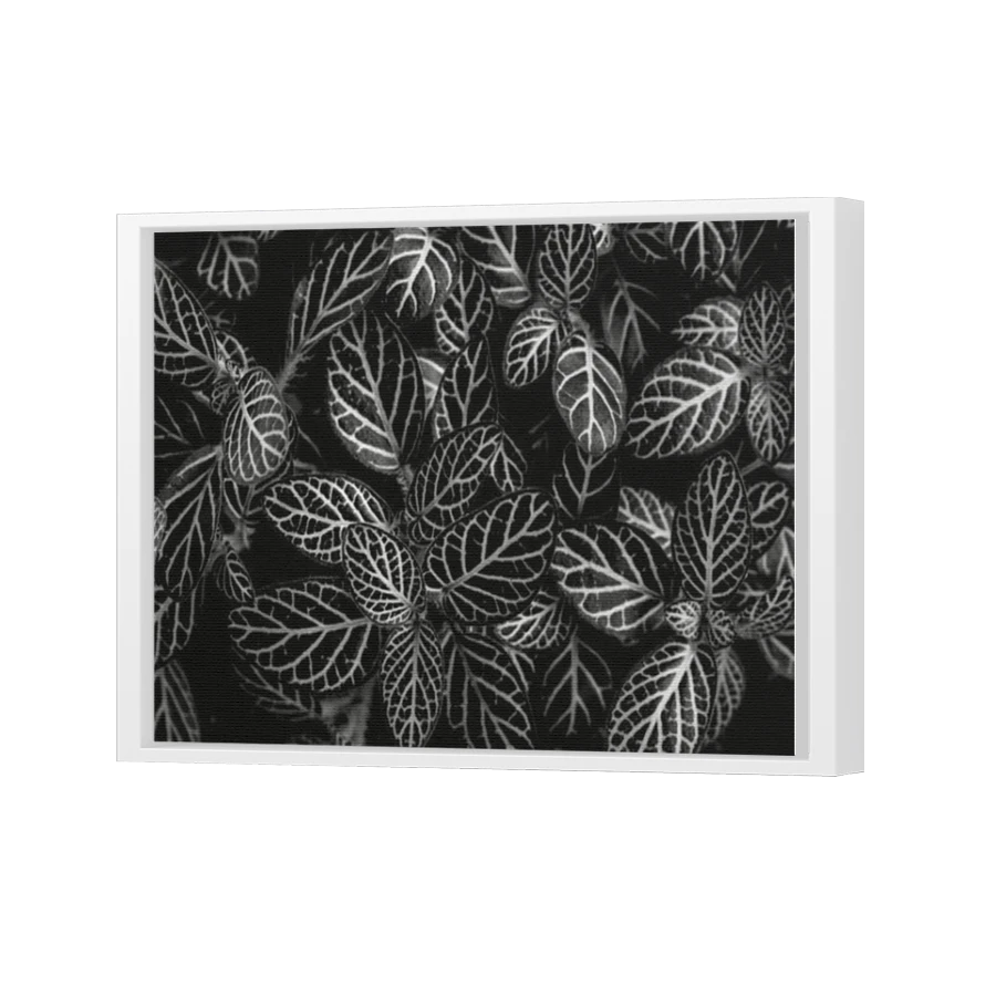 Thumbnail for Canvas - White Floating Frame