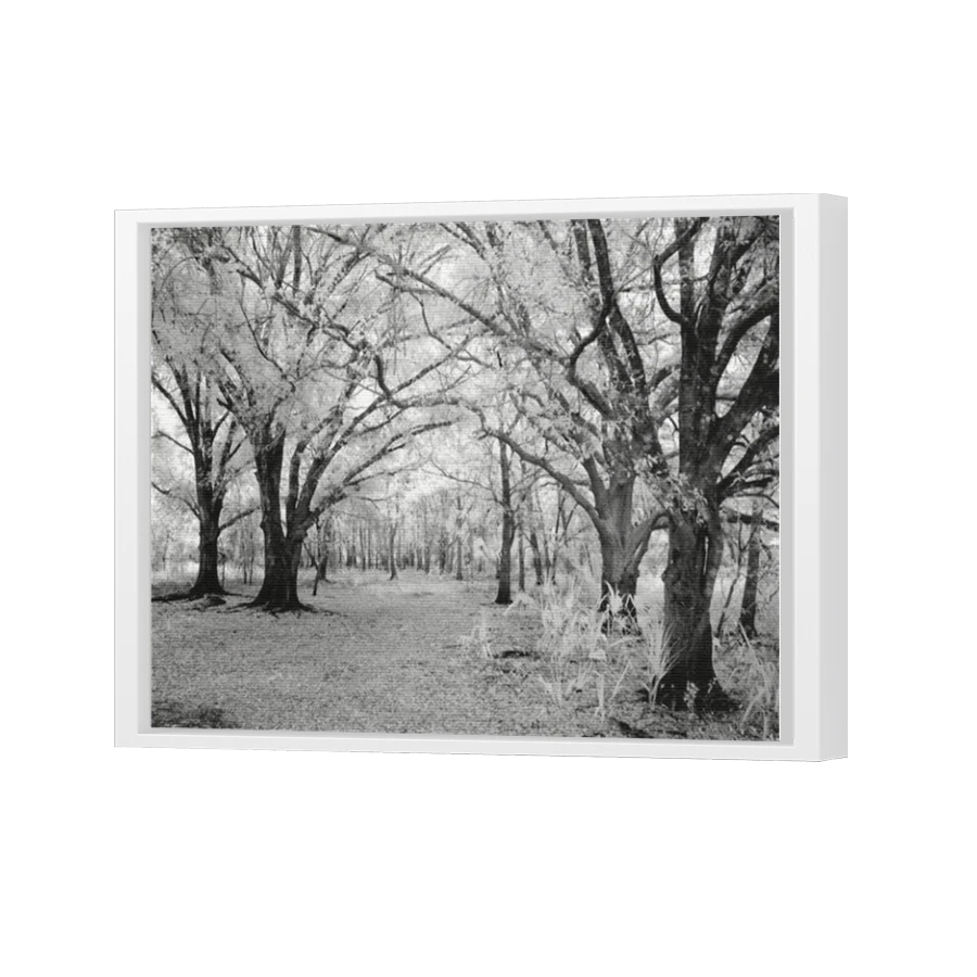 Thumbnail for Canvas - White Floating Frame