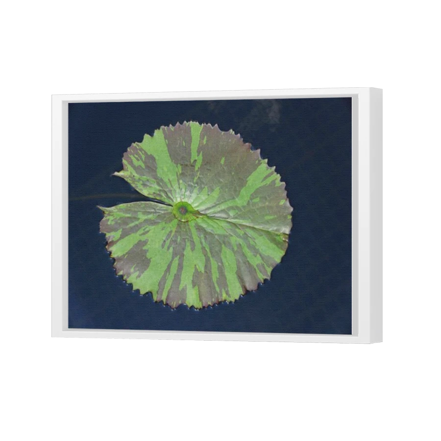 Thumbnail for Canvas - White Floating Frame