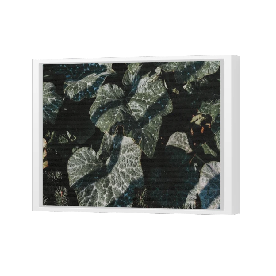 Thumbnail for Canvas - White Floating Frame