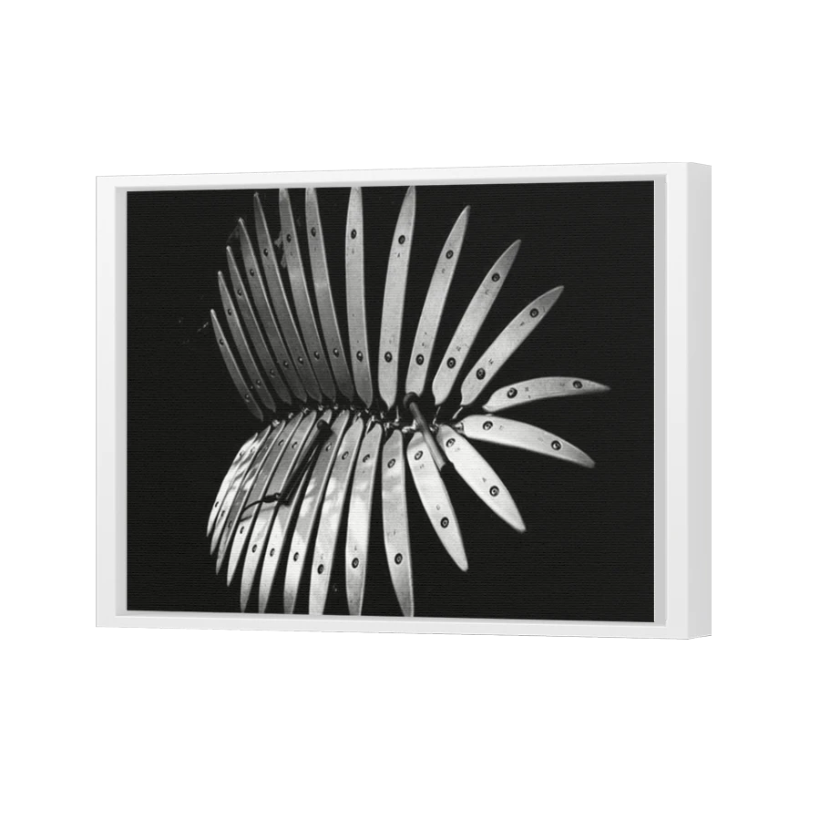 Thumbnail for Canvas - White Floating Frame