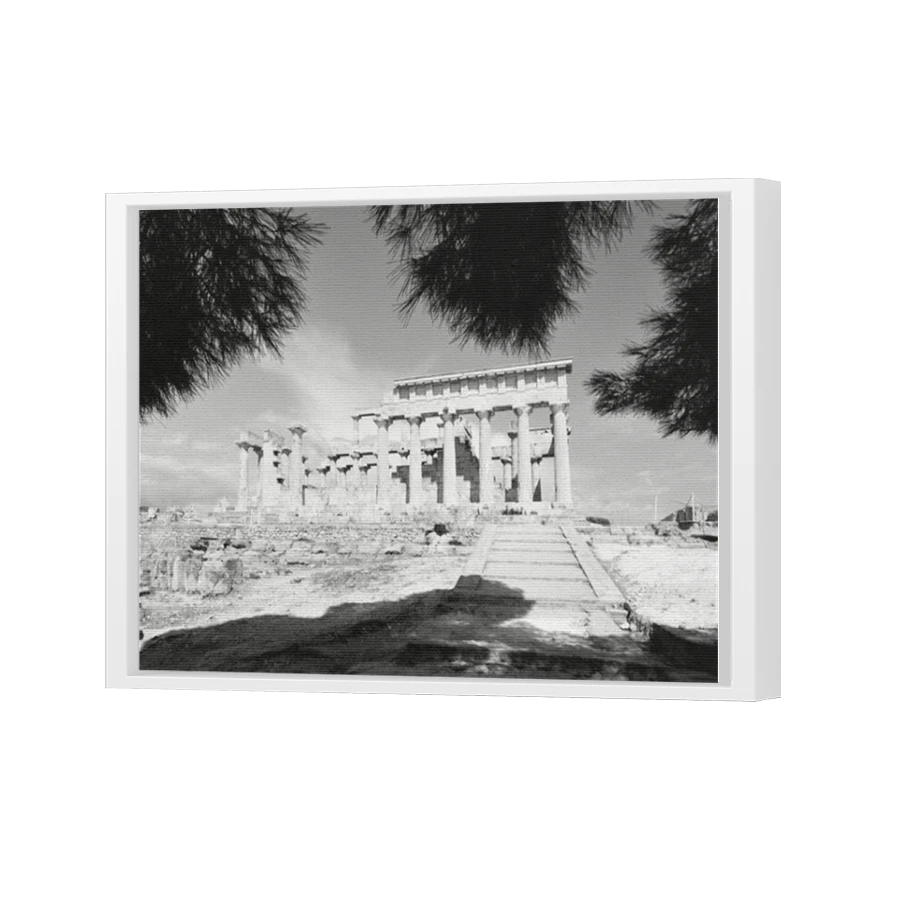 Thumbnail for Canvas - White Floating Frame