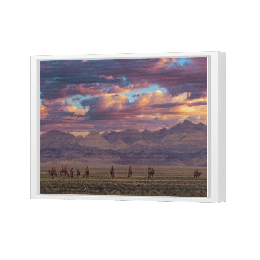 Thumbnail for Canvas - White Floating Frame