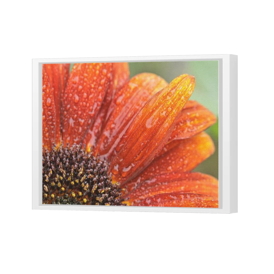 Thumbnail for Canvas - White Floating Frame
