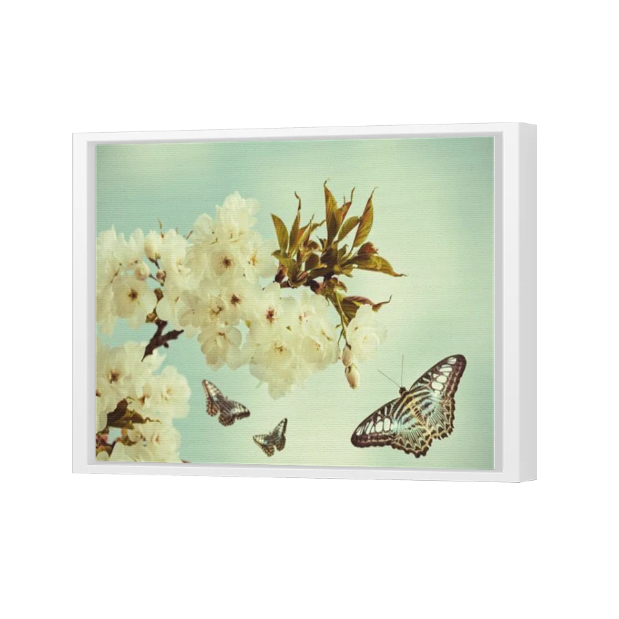 Thumbnail for Canvas - White Floating Frame