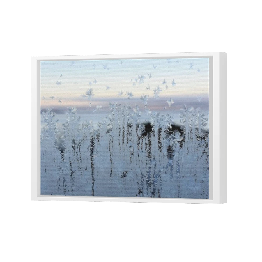 Thumbnail for Canvas - White Floating Frame