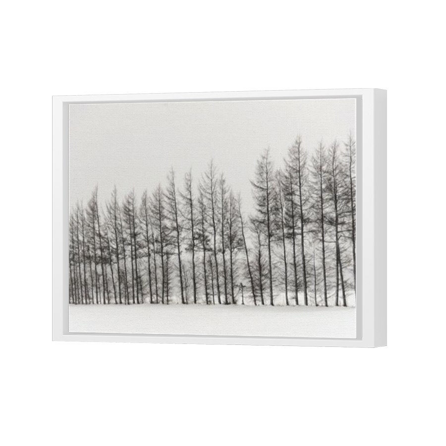Thumbnail for Canvas - White Floating Frame