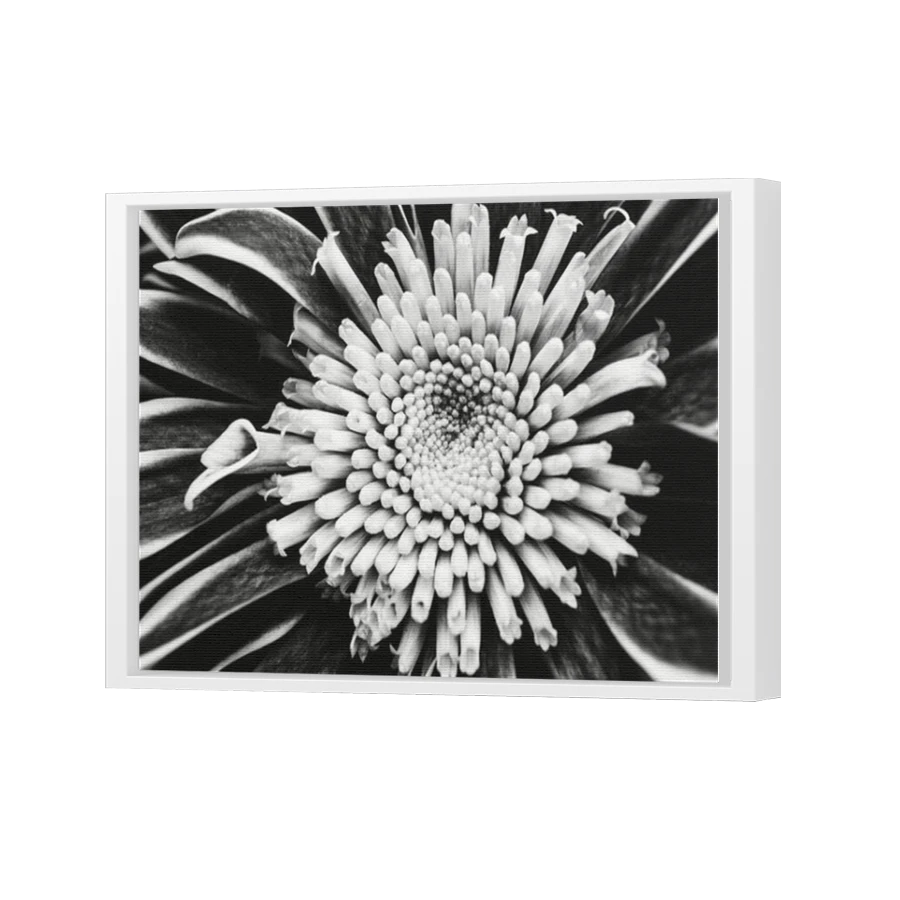 Thumbnail for Canvas - White Floating Frame