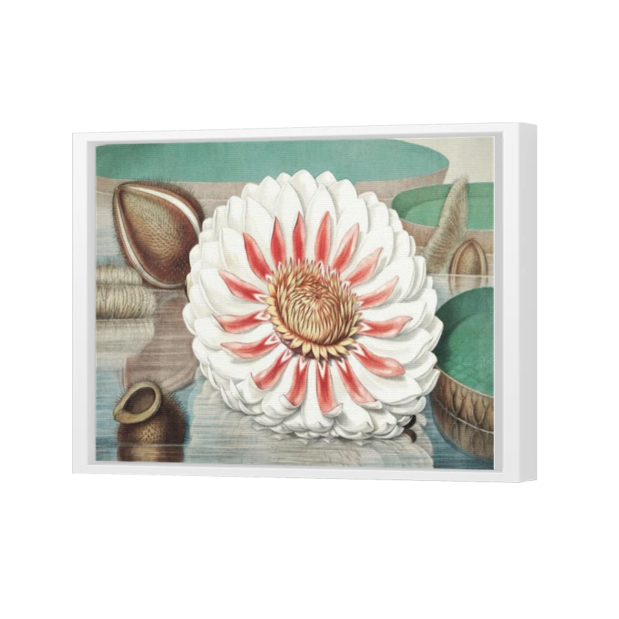 Thumbnail for Canvas - White Floating Frame