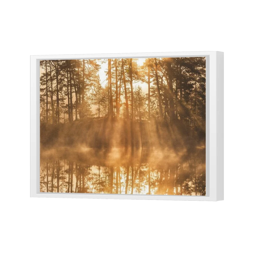 Thumbnail for Canvas - White Floating Frame