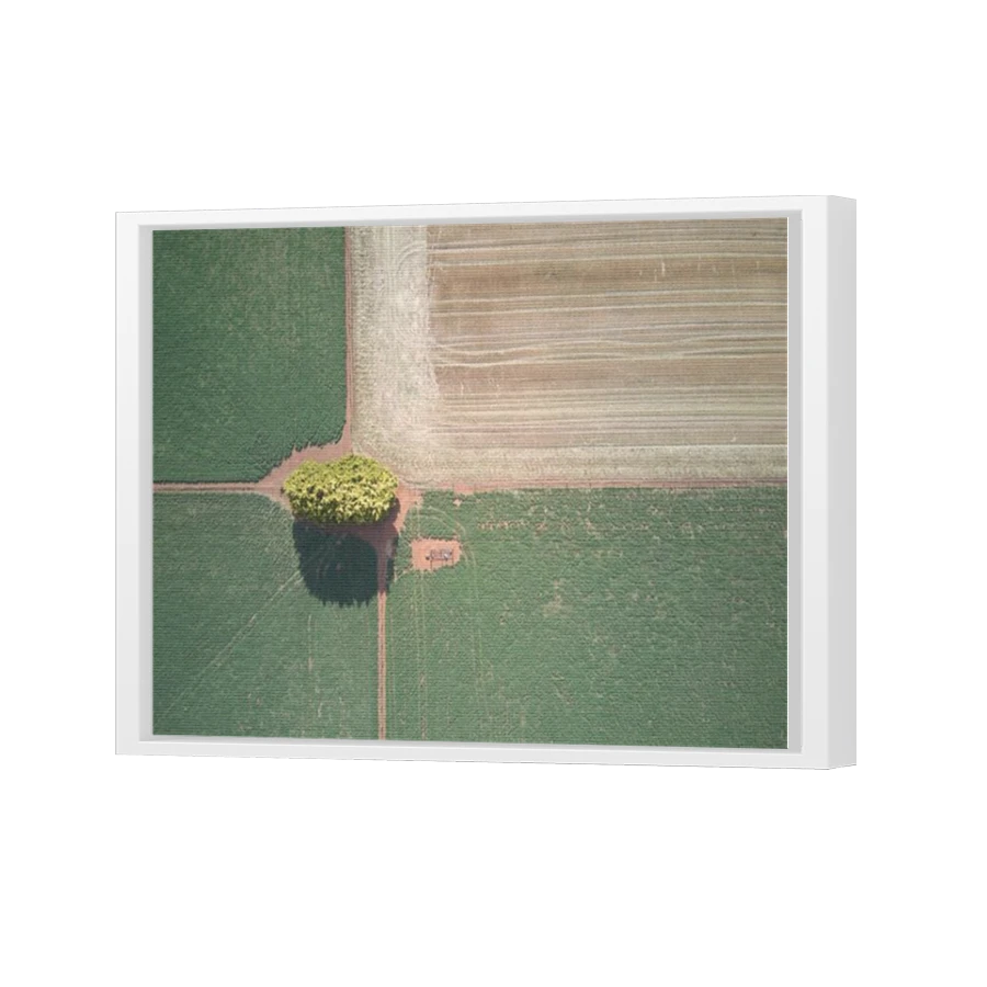 Thumbnail for Canvas - White Floating Frame