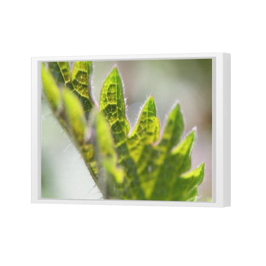 Thumbnail for Canvas - White Floating Frame