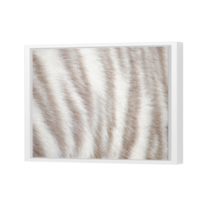 Thumbnail for Canvas - White Floating Frame