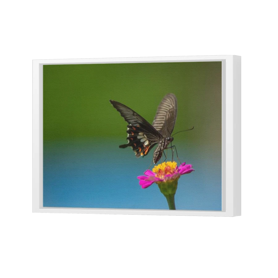 Thumbnail for Canvas - White Floating Frame