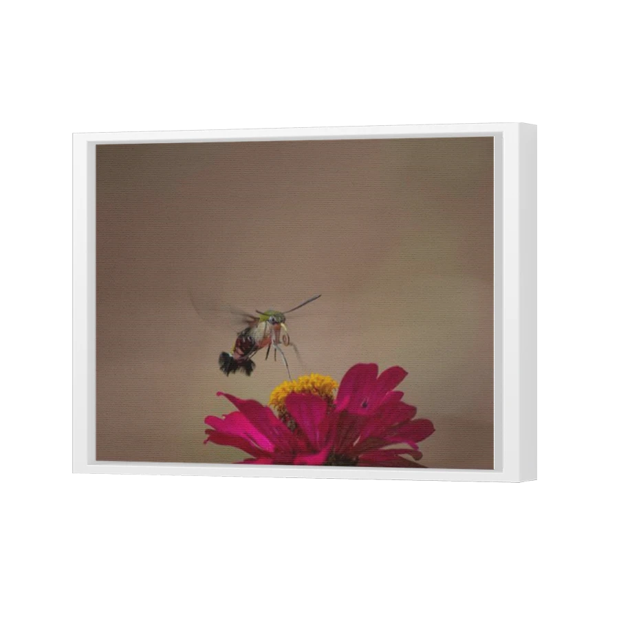 Thumbnail for Canvas - White Floating Frame