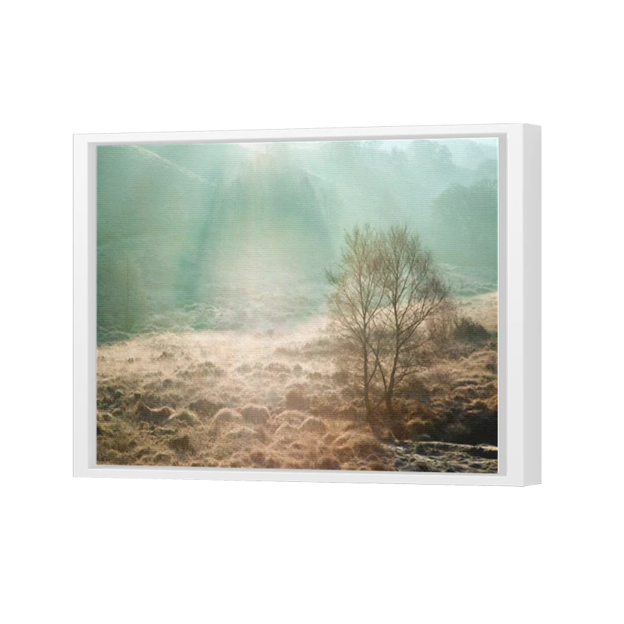 Thumbnail for Canvas - White Floating Frame