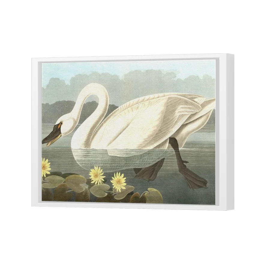 Thumbnail for Canvas - White Floating Frame