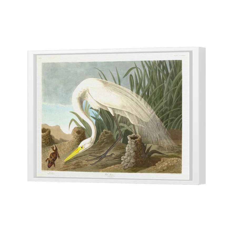 Thumbnail for Canvas - White Floating Frame