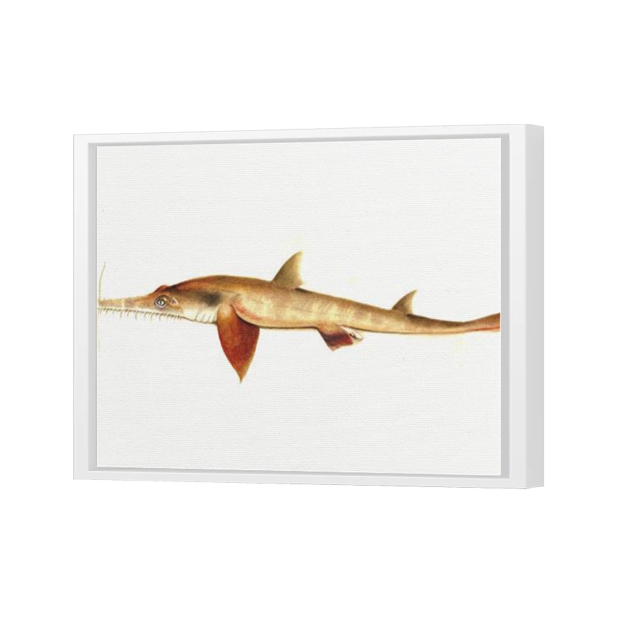 Thumbnail for Canvas - White Floating Frame