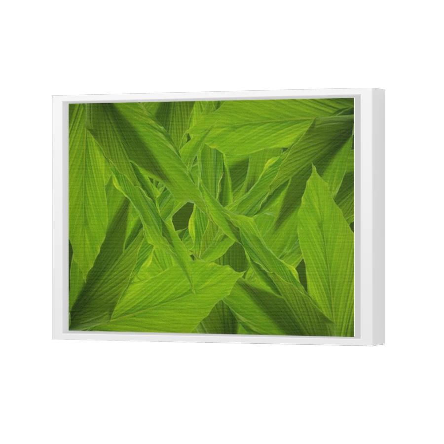 Thumbnail for Canvas - White Floating Frame
