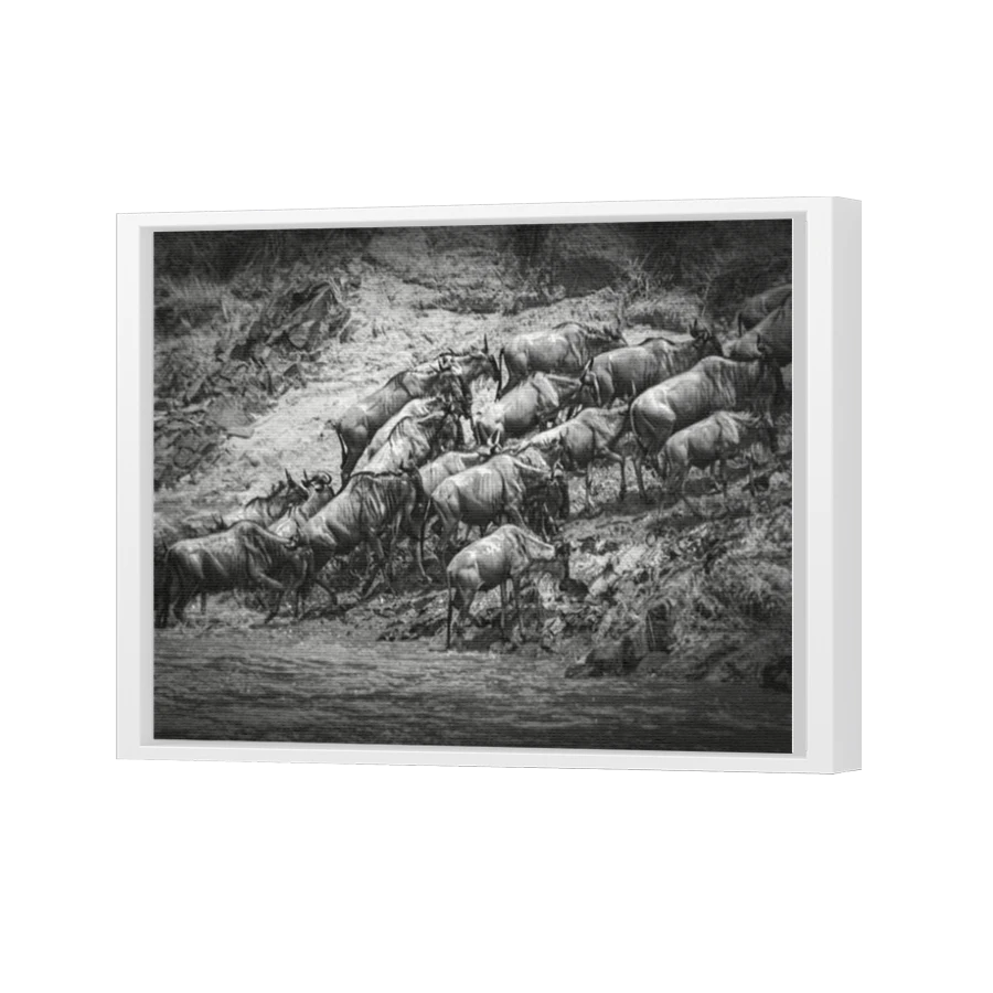 Thumbnail for Canvas - White Floating Frame
