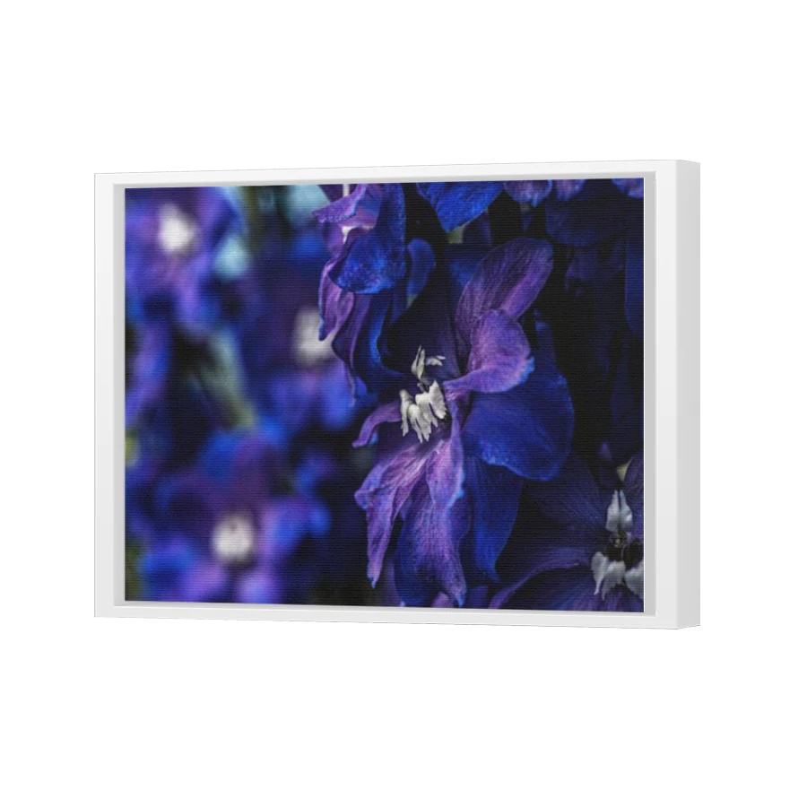 Thumbnail for Canvas - White Floating Frame