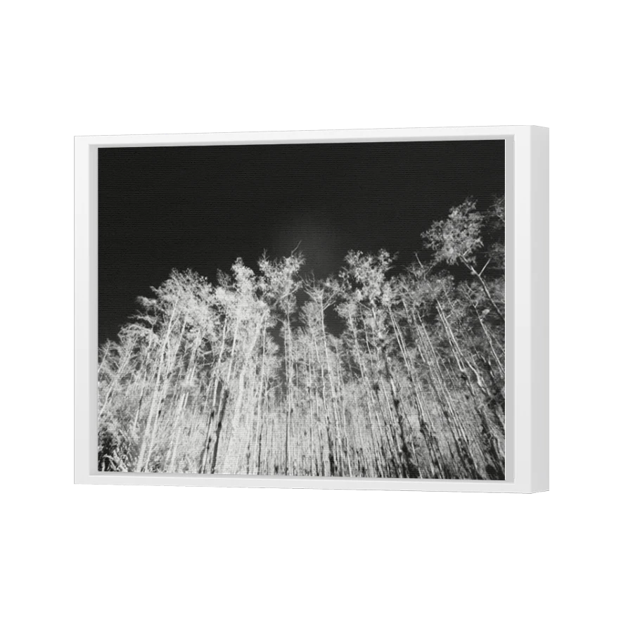Thumbnail for Canvas - White Floating Frame
