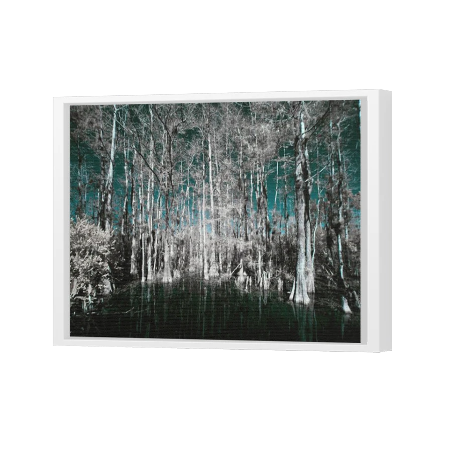 Thumbnail for Canvas - White Floating Frame