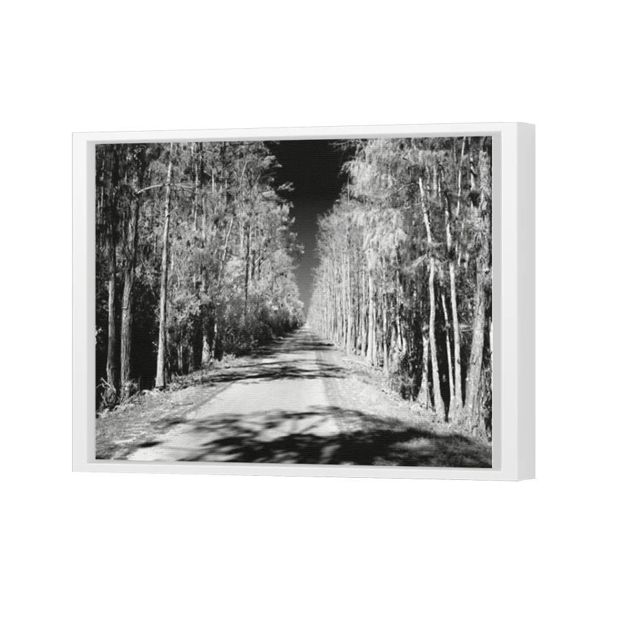 Thumbnail for Canvas - White Floating Frame