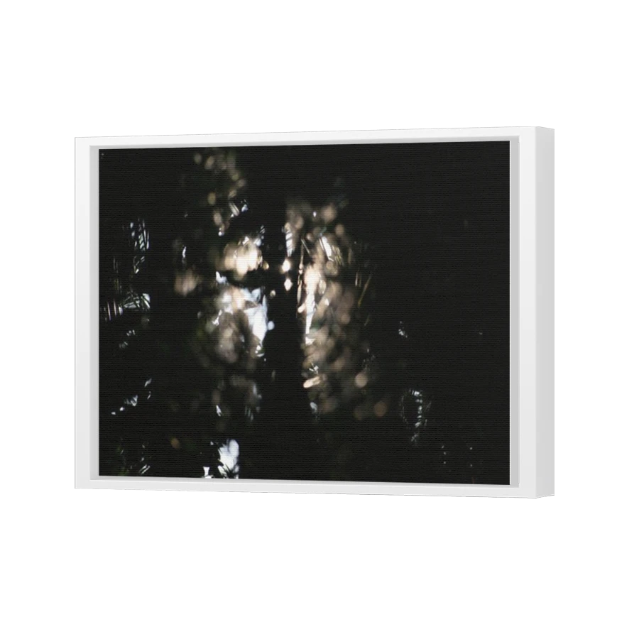 Thumbnail for Canvas - White Floating Frame