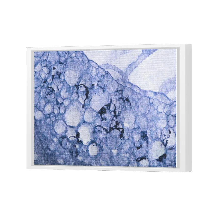 Thumbnail for Canvas - White Floating Frame