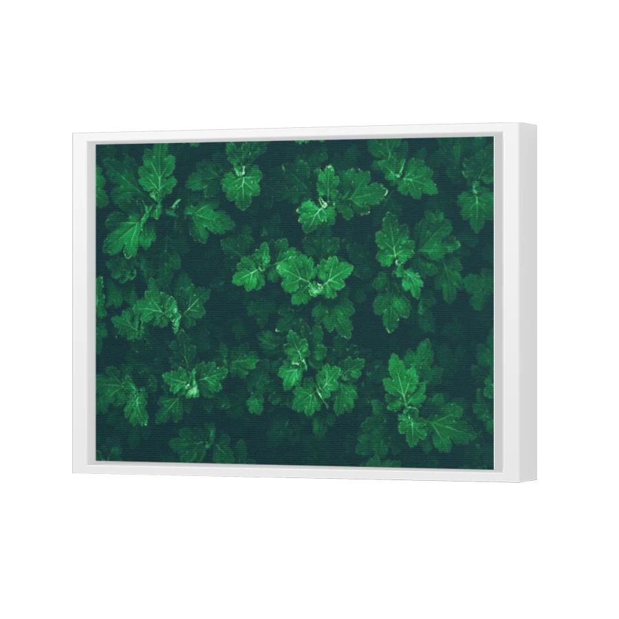 Thumbnail for Canvas - White Floating Frame
