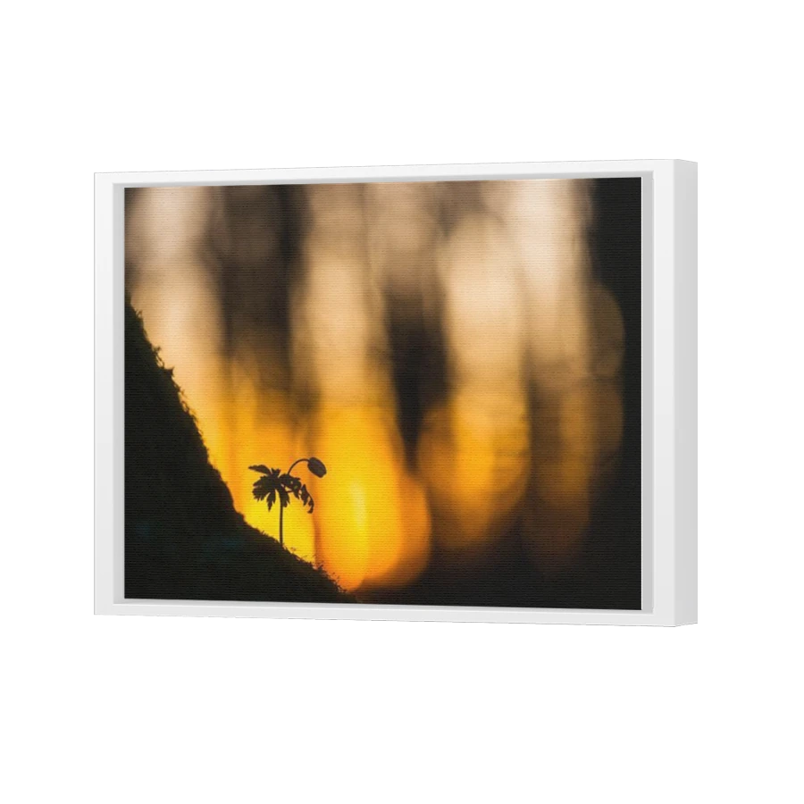 Thumbnail for Canvas - White Floating Frame