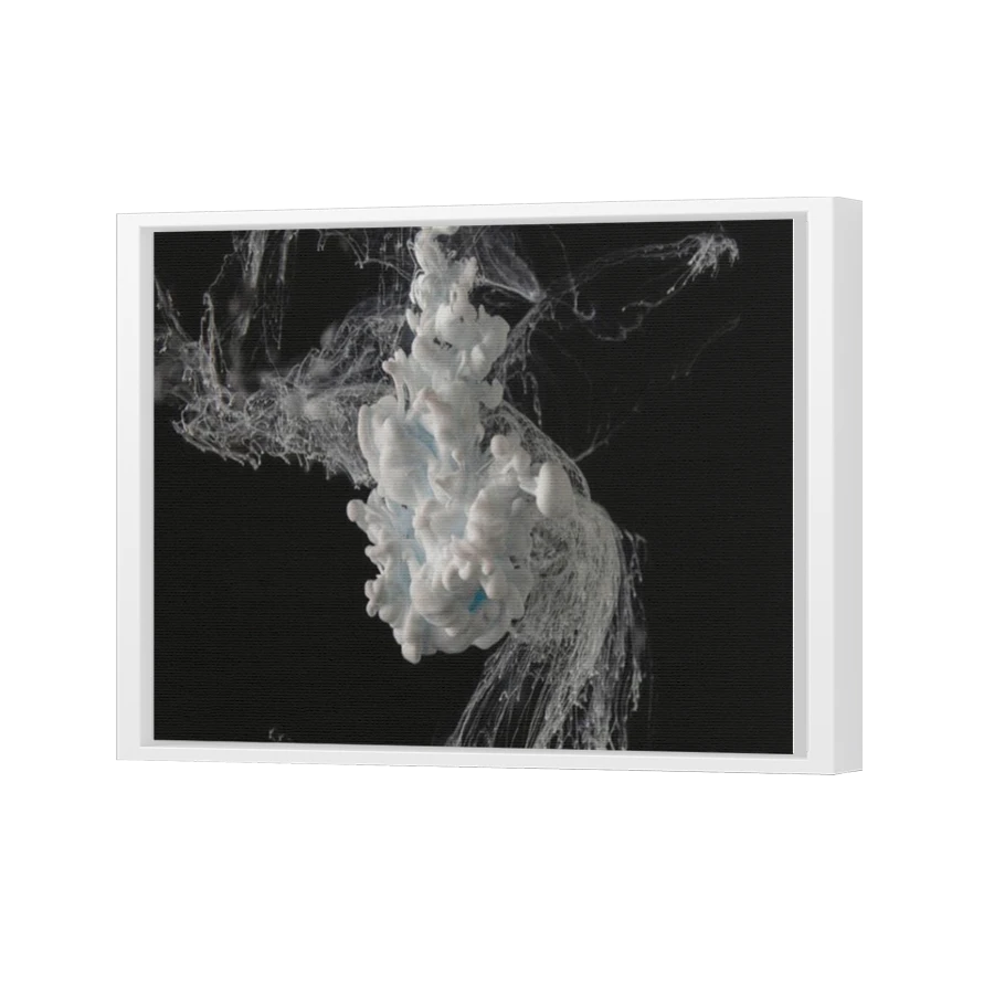 Thumbnail for Canvas - White Floating Frame