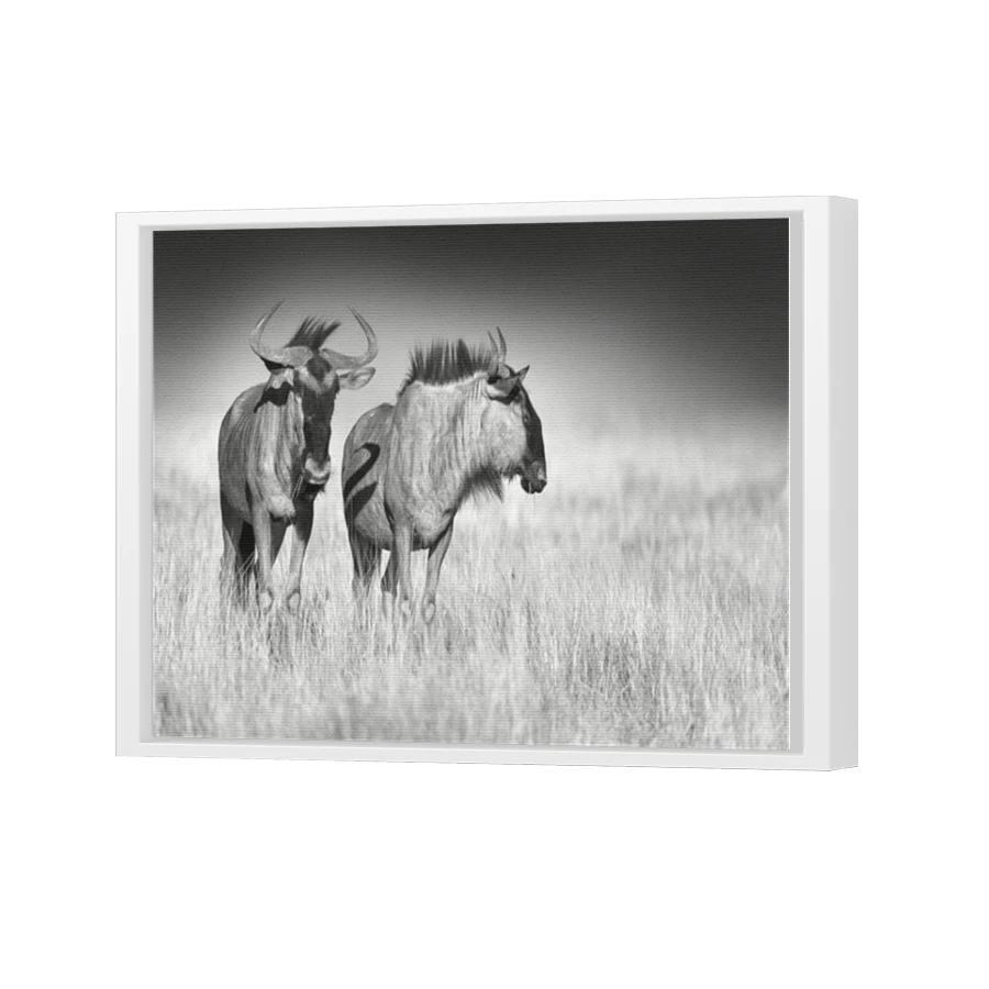 Thumbnail for Canvas - White Floating Frame