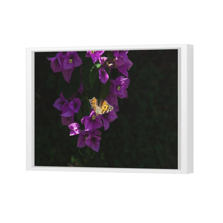 Thumbnail for Canvas - White Floating Frame