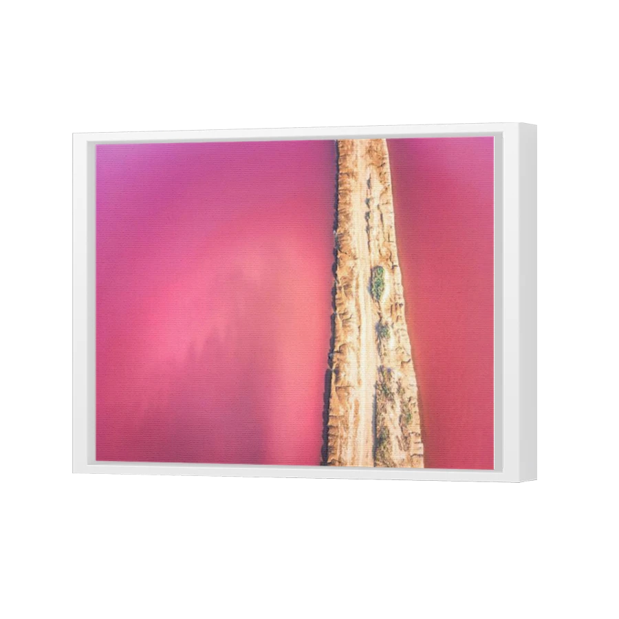 Thumbnail for Canvas - White Floating Frame