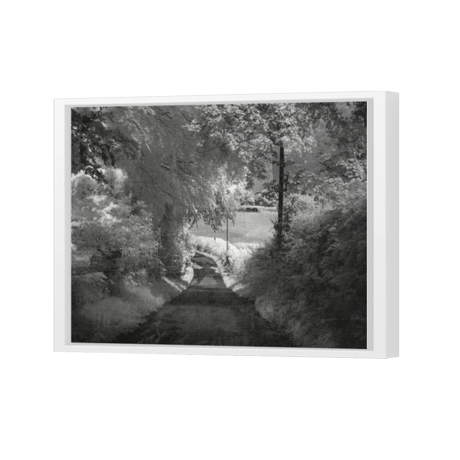 Thumbnail for Canvas - White Floating Frame