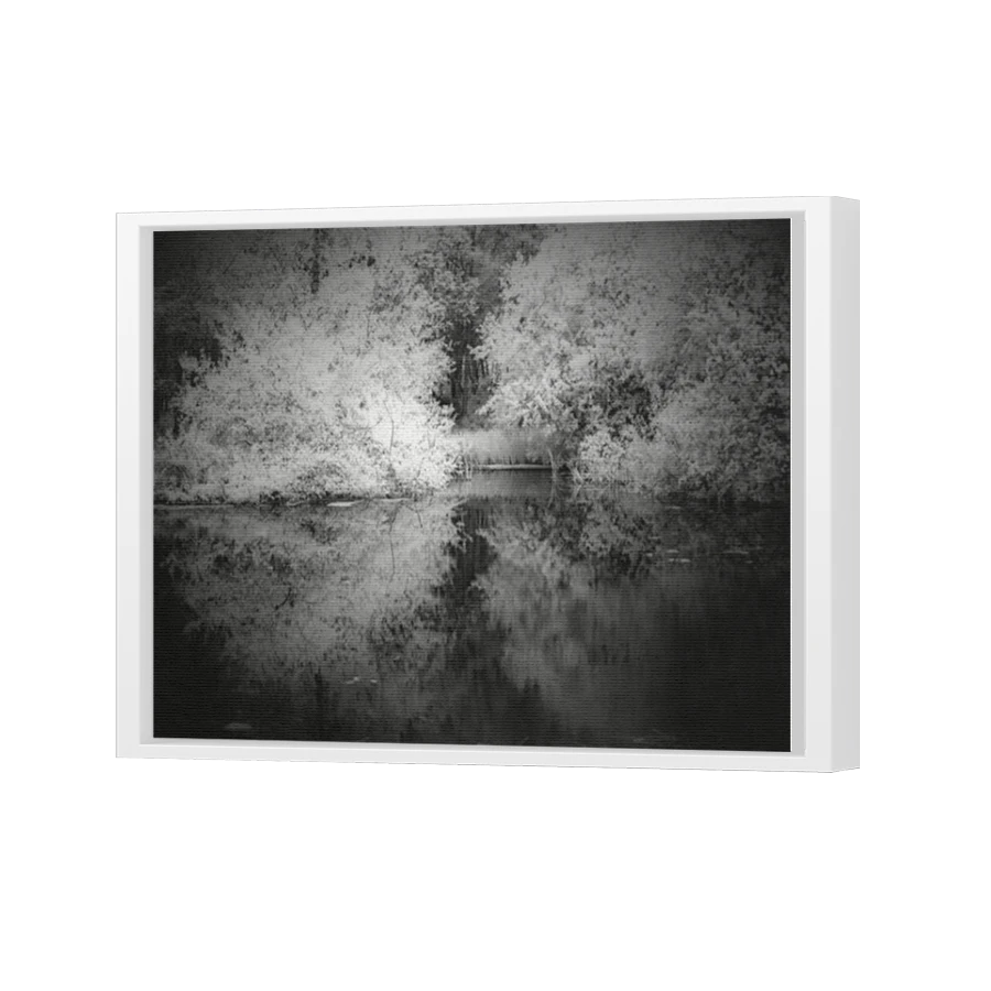 Thumbnail for Canvas - White Floating Frame