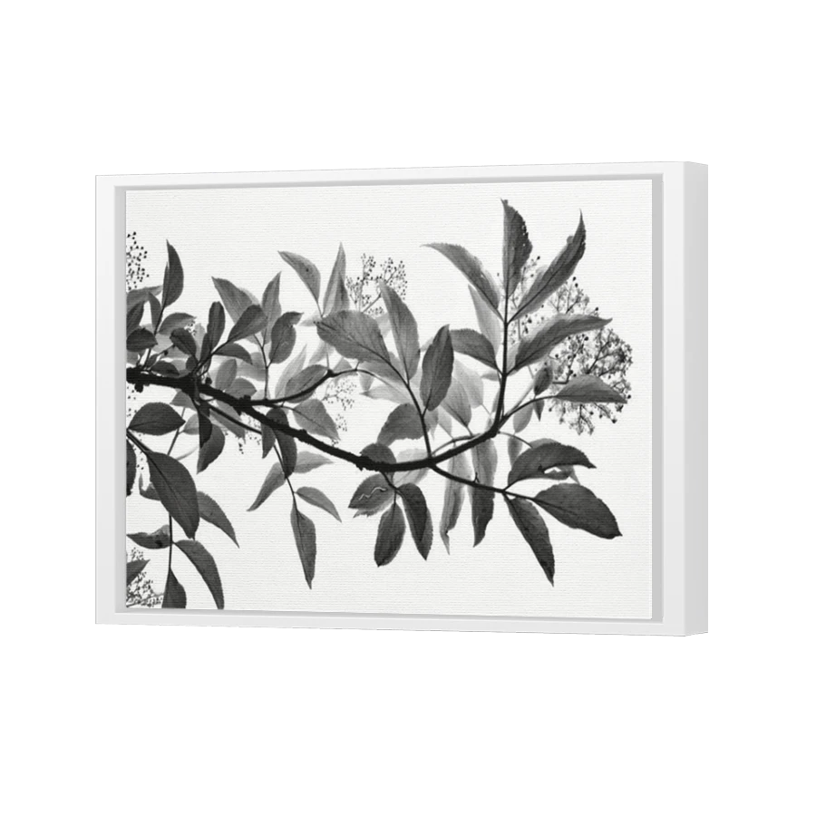 Thumbnail for Canvas - White Floating Frame