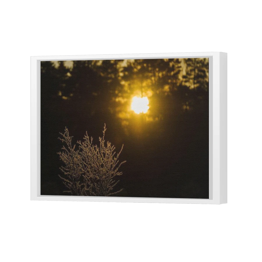 Thumbnail for Canvas - White Floating Frame