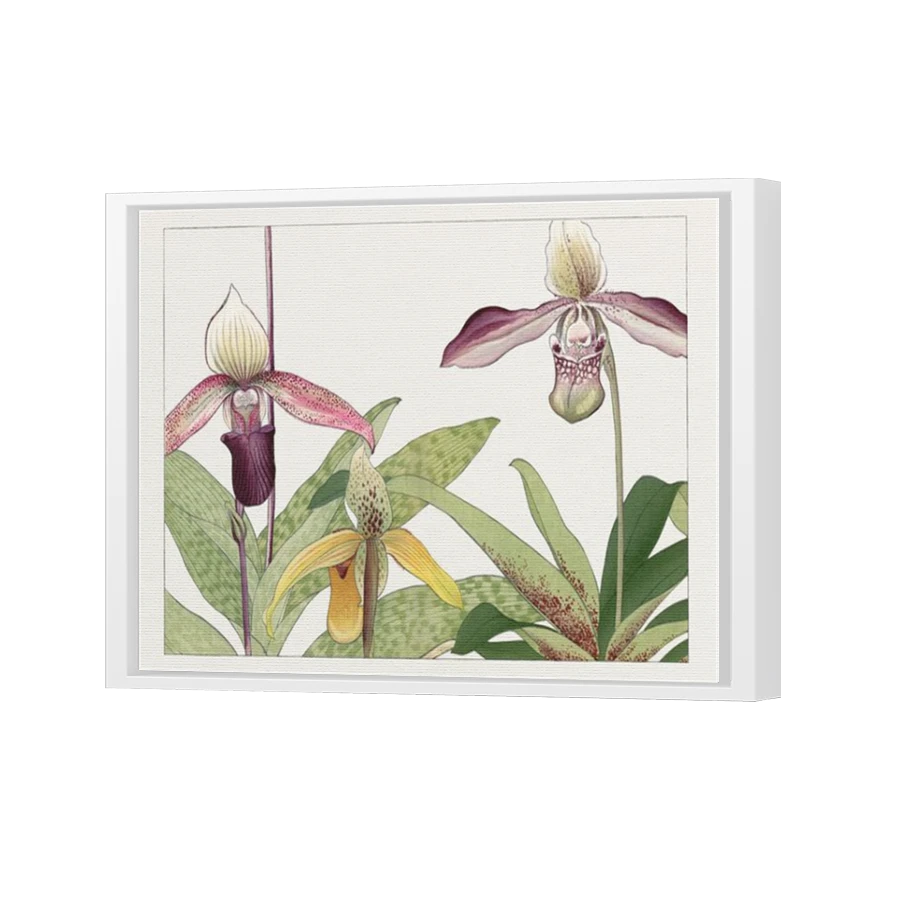 Thumbnail for Canvas - White Floating Frame