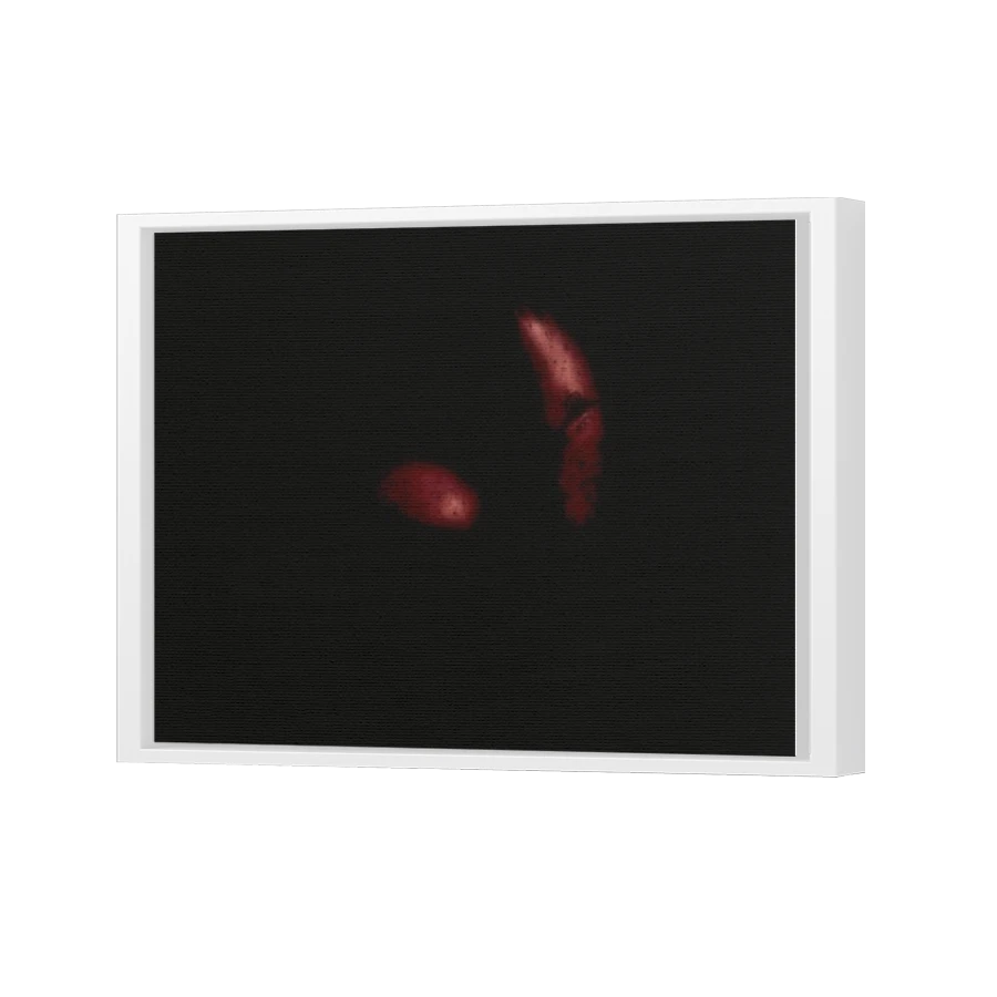 Thumbnail for Canvas - White Floating Frame